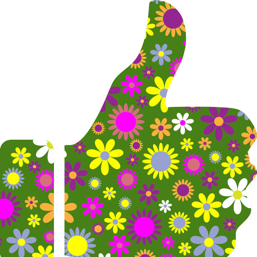 Projekt zur Wasserknappheit im Kleingarten – Ergebnisse und Broschüre